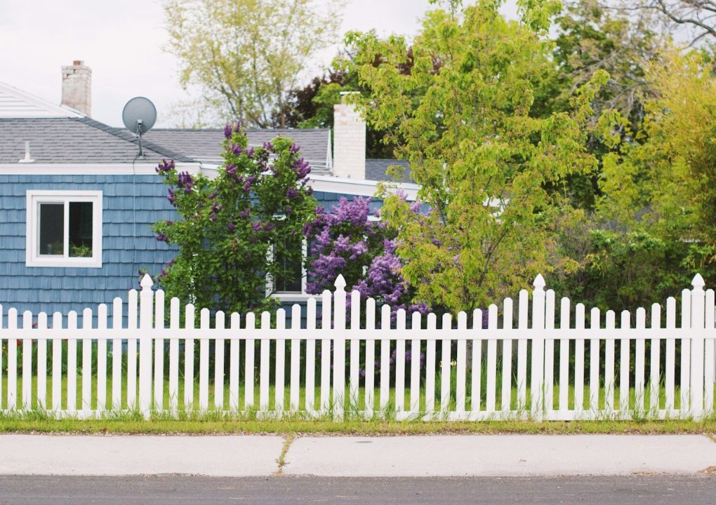 white wooden fence near green trees during daytime